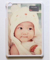 Apple Ipad Mini Case